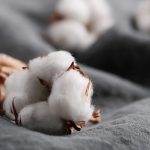 2024’te Halka Arz Olan Şirketten 30,5 Milyon TL’lik Anlaşma