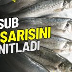 Başarısını Kanıtladı! İlk Altı Ayda Tahmin Üstü Performans