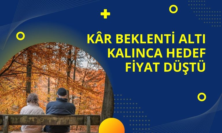 Beklenti Altı Kâr Sonrası ANHYT Hedef Fiyatı Düşürüldü