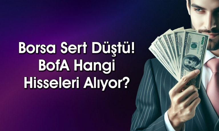 BofA’nın Alım Listesinde KRDMD ve TAVHL Yer Aldı