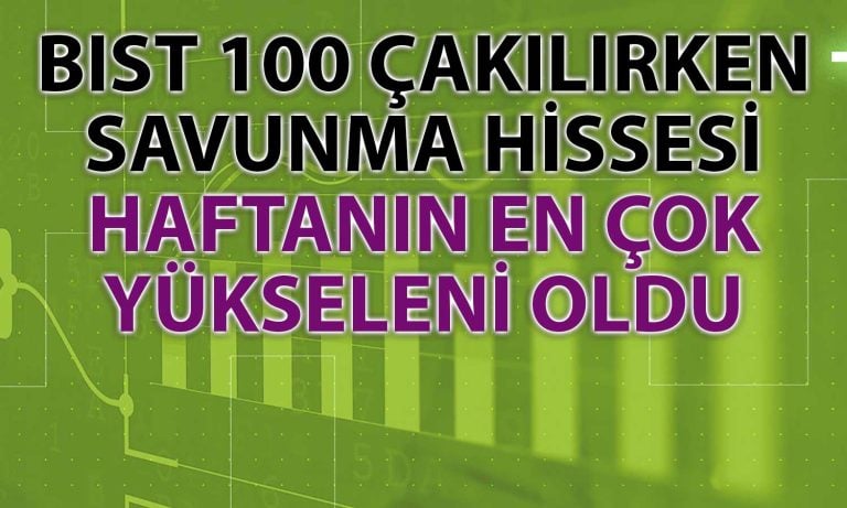 Borsa Bu Hafta Sert Düşerken En Çok Savunma Hissesi Yükseldi