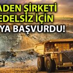 CVKMD’den Bedelsiz Başvurusu: Sermaye 1,4 Milyar TL’ye Çıkarılacak!