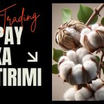 Dct Trading Yapay Zeka Şirketinden Hisse Alıyor