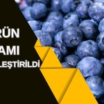DCT Trading’den Ürün Gamı Hamlesi: Yunanistan’da da Satılacak
