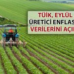 Eylül Ayı Üretici Enflasyonu Açıklandı: Düşüş Sürdü mü?