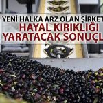 Halka Arz Olan CEMZY’nin Net Karı Yüzde 90’a Yakın Düştü