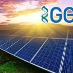 İlaç Şirketi GES Projesini Tamamladığını Duyurdu