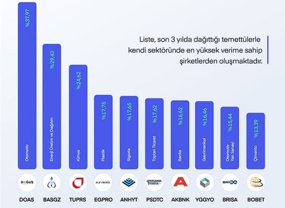 Kendi Sektöründe Temettü Şampiyonu Olan 10 Şirket