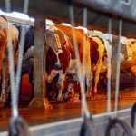 Kırmızı Et İthalatını Bitirmek için Yeni Hamle