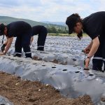 Konfrut Gıda’dan Yatırım Açıklaması: Kapasite Yükselecek