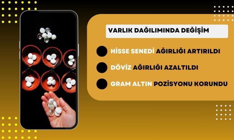 Kurum Portföylerindeki Hisse Senedi Ağırlığını Artırdı