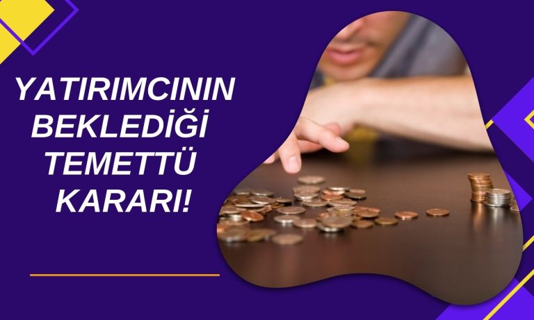 Lider Deri İşleme Şirketi 197 Milyon Liralık Kârı Dağıtmayacak