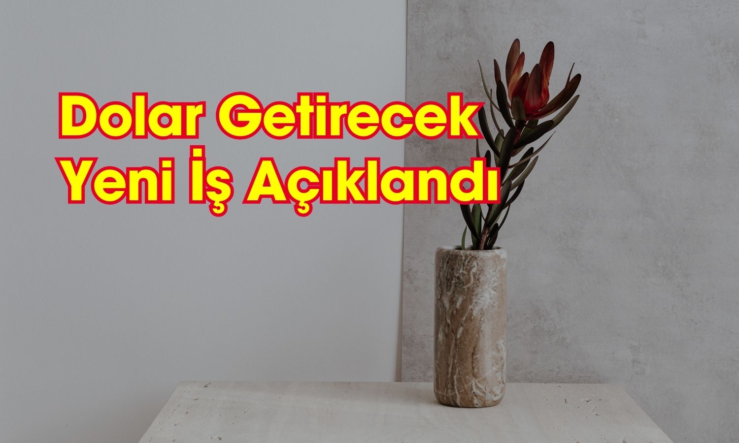 Mermer Şirketi Yeni İşini Açıkladı! Dolar Kazancı Geliyor