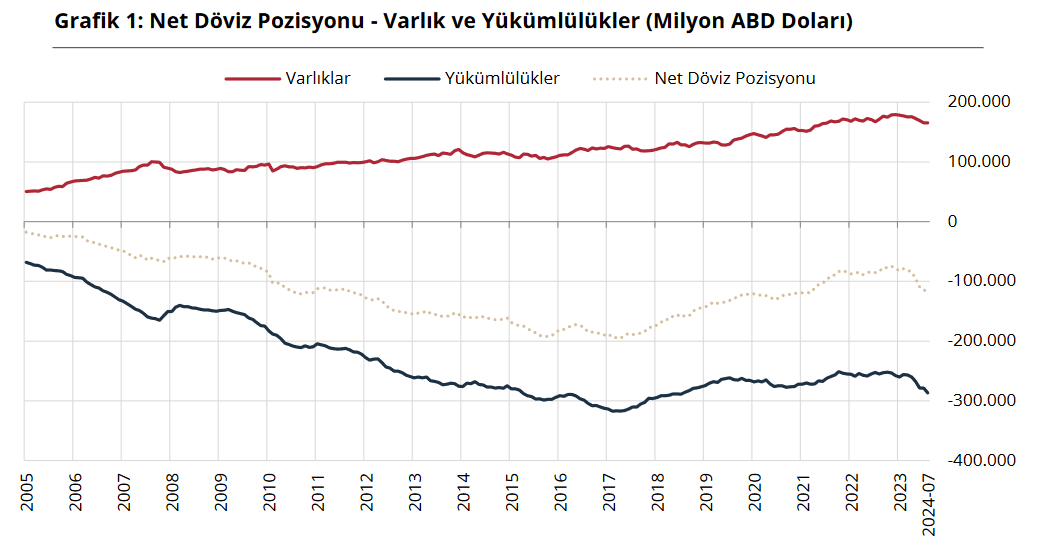 Reel Sektör Net Döviz Pozisyonu