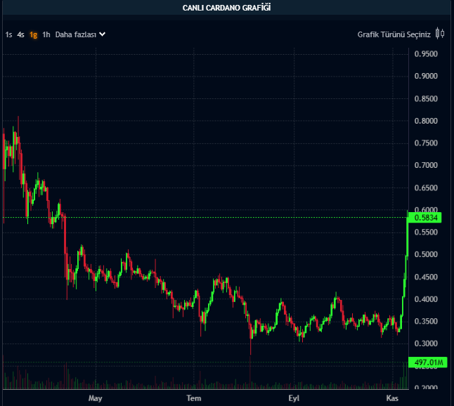 ADA Fiyat Yükseliş