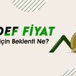 Ak Yatırım SELEC için Hedef Fiyatını Güncelledi