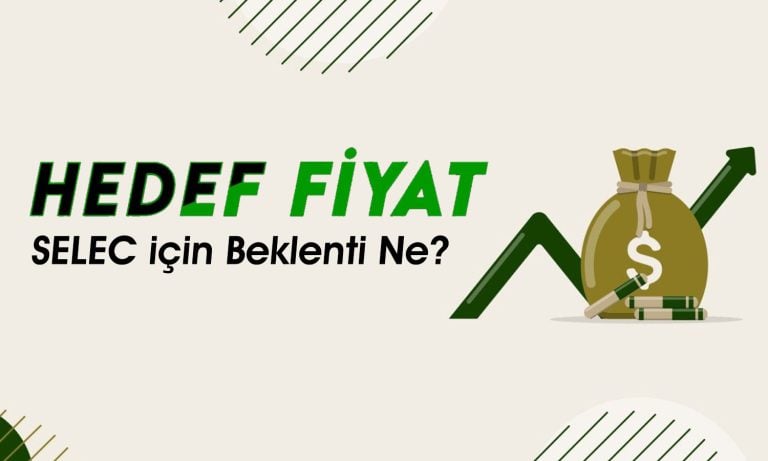 Ak Yatırım SELEC için Hedef Fiyatını Güncelledi