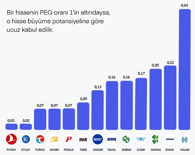 Borsada PEG Oranına Göre Cazip 13 Hisse