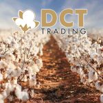DCT Trading 1,2 Milyon Dolarlık Pamuk Satışını Duyurdu