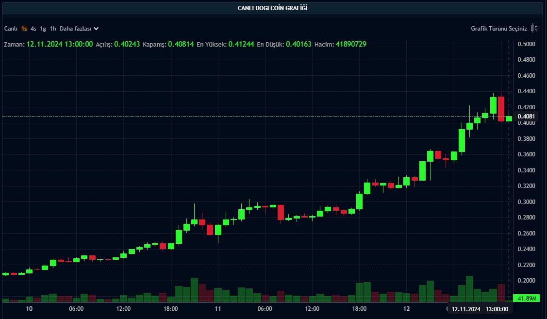 DOGE saatlik grafik