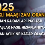 Emekli Maaşı 2025’te Ne Kadar Olacak? Beklentiler Ne?