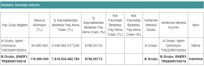 Enerya Enerji’den Rekor Bedelsiz: Yüzde 6796