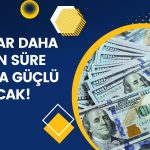 Goldman Artık Dolarda Değer Kaybı Yerine Yükseliş Bekliyor