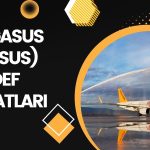 Pegasus (PGSUS) Hedef Fiyat: 7 Kurum Tahminlerini Açıkladı