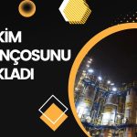 Petkim (PETKM) 3Ç24 Finansal Tablolarını Yayımladı