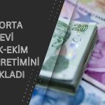 Ray Sigorta Ocak-Ekim Dönemi Prim Üretimini Yüzde 160 Artırdı