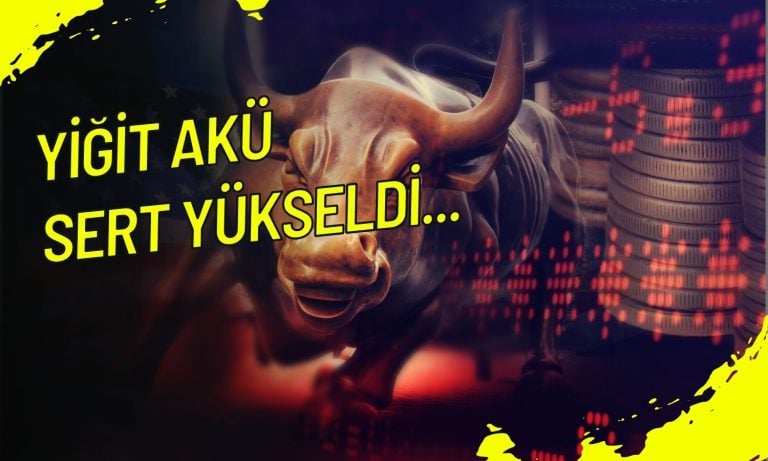 Yiğit Akü Hisseleri Ganfeng LiEnergy Anlaşmasıyla Yükseldi