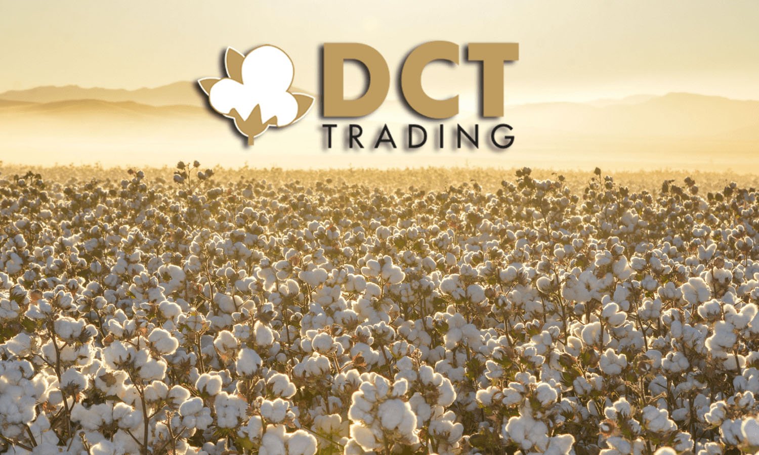 DCT Trading (DCTTR) ciroya katkı sağlayacak satışı duyurdu