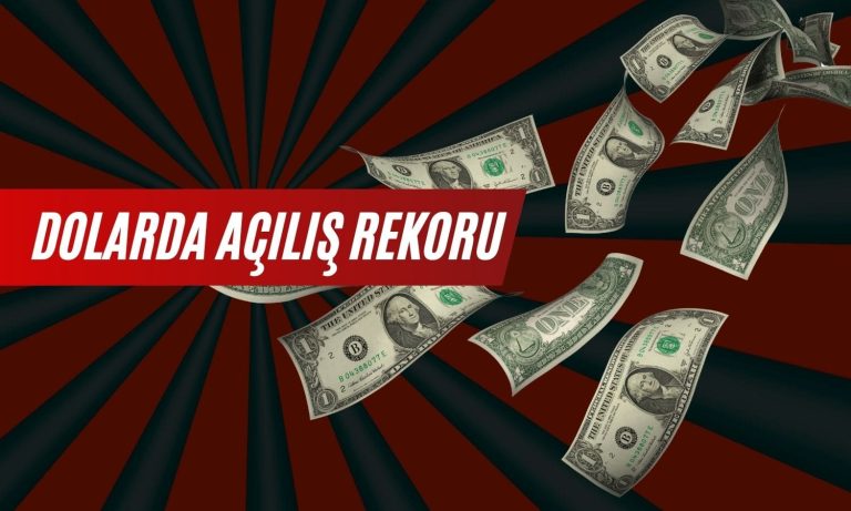 Dolarda zirve! Yılın son gününe rekorla başladı