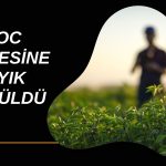 Elite Naturel (ELITE) ROC belgesini alan sayılı firmalardan oldu