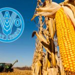 Gıda fiyatları Nisan 2023’ten bu yana en yüksek seviyeyi gördü