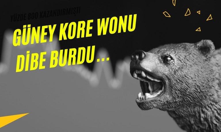 Güney Kore wonu artan çalkantı ortasında dibe vurdu!