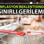 Hanehalkı ve reel sektörün enflasyon beklentisinde düşüş sürüyor