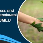 Kontrolmatik (KONTR) ÇED olumlu kararını duyurdu!