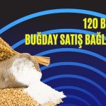 Oba Makarnacılık (OBAMS) duyurdu: 36 milyon dolar katkısı olacak