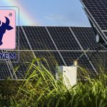 Ofis Yem, GES ile üretime başladı: 71 milyon TL tasarruf hedefleniyor