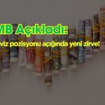 Reel Sektörün Döviz Pozisyonu Açığı 57 Ayın Zirvesinde