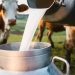 Süt fiyatları değişiyor! Zam duyurusu yapıldı