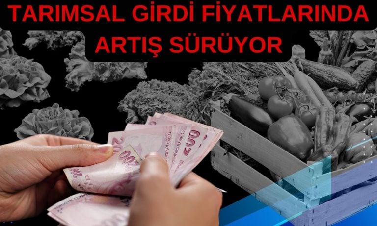 Tarımsal girdi fiyatı için alt grupta yüzde 65’lik artış!