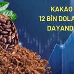 Uzmanlar rekor kıran kakaoda volatiliteye karşı uyardı
