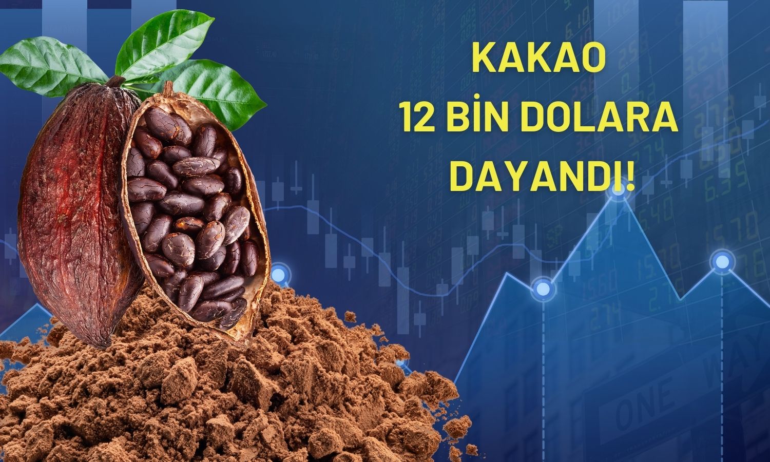 Uzmanlar rekor kıran kakaoda volatiliteye karşı uyardı