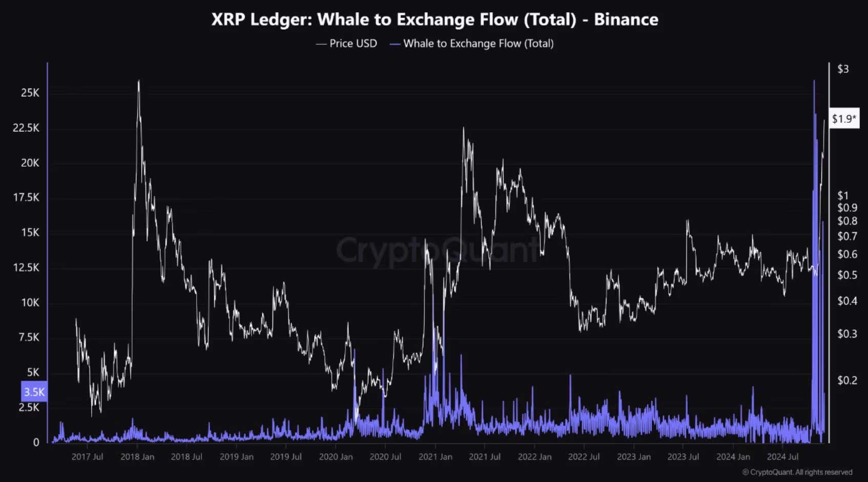 XRP balina aktivitesi