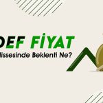 Yazılım hissesinde 159 TL kapısı açık! Aracı kurumlar ne diyor?