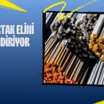 Yeni ortak demir çelik şirketinde elini güçlendiriyor