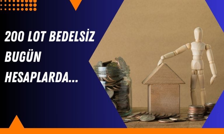 100 lot 300’e yükseldi, ekstra 200 lot için tarih verildi