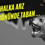 Akfen İnşaat ilk gününde taban oldu: Patron destekler mi?